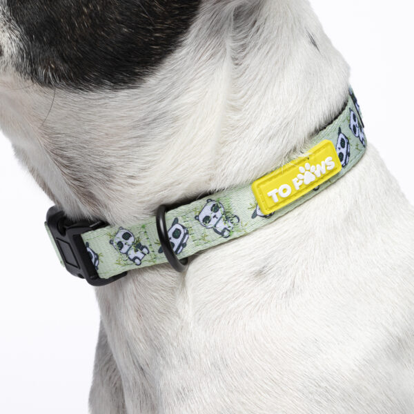 Collar con Dibujos Para Mascotas - Image 4