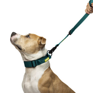 Collar Tactico para perros grandes
